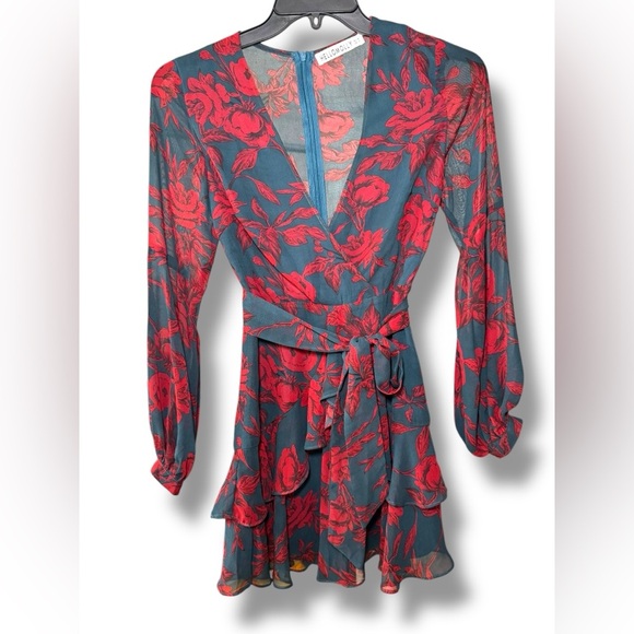 Hello Molly HARD‎ TO KEEP UP DRESS FOREST GREEN Size S EUC - Picture 4 of 10